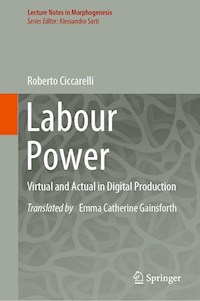 Labour Power - Roberto Ciccarelli - E-Book