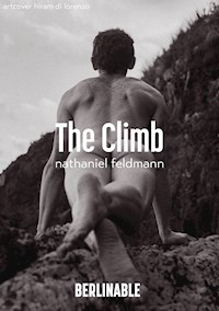 The Climb - Nathaniel Feldmann - E-Book