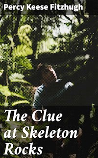 The Clue at Skeleton Rocks - Percy Keese Fitzhugh - E-Book