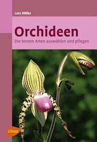 Orchideen - Lutz Röllke - E-Book