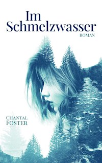 Im Schmelzwasser - Chantal Foster - E-Book