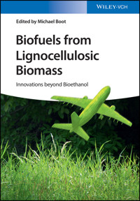 Biofuels from Lignocellulosic Biomass - Michael Boot - E-Book