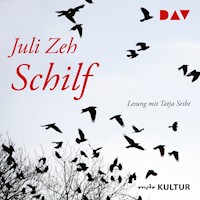 Schilf - Juli Zeh - Hörbuch
