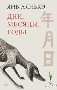 Дни, месяцы, годы - Янь Лянькэ - E-Book