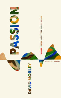 Passion - David Morley - E-Book