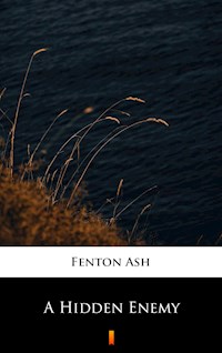 A Hidden Enemy - Fenton Ash - E-Book