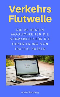 Verkehrs Flutwelle - Andre Sternberg - E-Book
