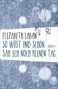 So wüst und schön sah ich noch keinen Tag - Elizabeth LaBan - E-Book