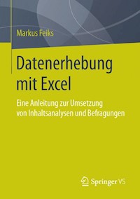 Datenerhebung mit Excel - Markus Feiks - E-Book