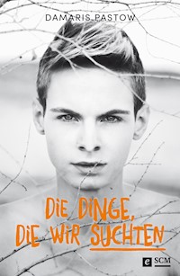 Die Dinge, die wir suchten - Damaris Pastow - E-Book