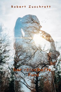 Der rätselhafte Fund - Robert Zuschrott - E-Book