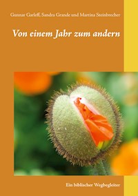 Von einem Jahr zum andern - Gunnar Garleff - E-Book