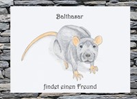Balthasar findet einen Freund - Jasmin Wimmer - E-Book