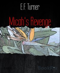 Micah's Revenge - E.F. Turner - E-Book