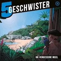13: Die vergessene Insel - Tobias Schuffenhauer - Hörbuch