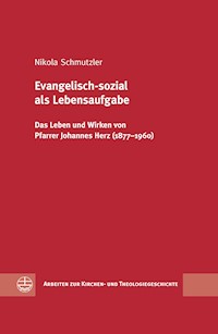 Evangelisch-sozial als Lebensaufgabe - Nikola Schmutzler - E-Book