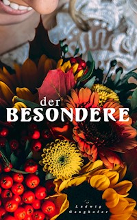 Der Besondere - Ludwig Ganghofer - E-Book