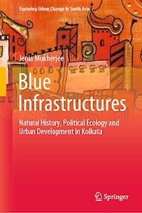 Blue Infrastructures - Jenia Mukherjee - E-Book