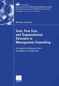 Task, Firm Size, and 0rganizational Structure in Management Consulting - Michael Graubner - E-Book