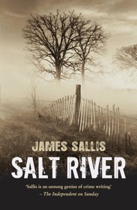 Salt River - James Sallis - E-Book