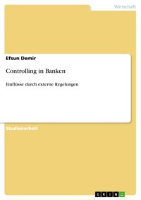 Controlling in Banken - Efsun Demir - E-Book