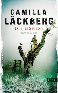 Die Eishexe - Camilla Läckberg - E-Book