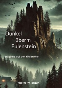 Dunkel überm Eulenstein - Walter W. Braun - E-Book