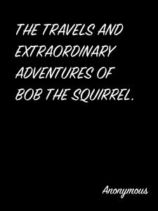 The Travels And Extraordinary Adventures Of Bob The Squirrel. - anonymous - E-Book