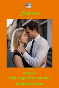 Mein eisiger Prinz mit dem glühenden Herzen - Ulla Garden - E-Book