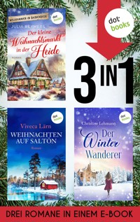 Der kleine Weihnachtsmarkt in der Heide, Weihnachten auf Saltön & Der Winterwanderer - Viveca Lärn - E-Book