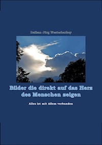Bilder die direkt auf das Herz des Menschen zeigen - Daikan Jörg Westerbarkey - E-Book