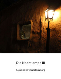 Die Nachtlampe III - Claudine Hirschmann - E-Book