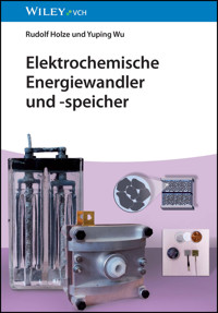 Elektrochemische Energiewandler und -speicher - Rudolf Holze - E-Book