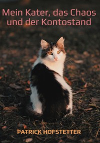 Mein Kater, das Chaos und der Kontostand - Patrick Hofstetter - E-Book