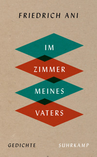 Im Zimmer meines Vaters - Friedrich Ani - E-Book