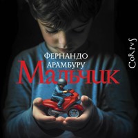 Мальчик - Fernando Aramburu - Hörbuch