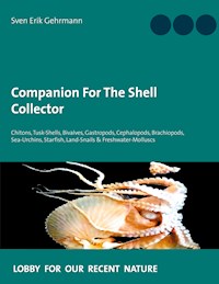 Companion For The Shell Collector - Sven Erik Gehrmann - E-Book