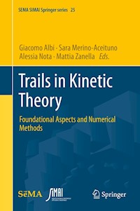Trails in Kinetic Theory - - E-Book