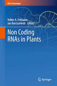 Non Coding RNAs in Plants -  - E-Book