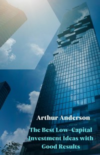 The Best Low-Capital Investment Ideas with Good Results - Arthur Anderson - E-Book