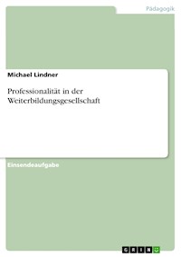 Professionalität in der Weiterbildungsgesellschaft - Michael Lindner - E-Book