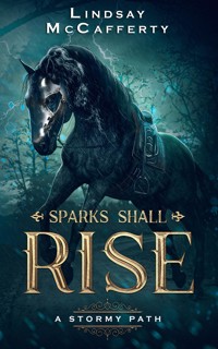 A Stormy Path - Lindsay McCafferty - E-Book