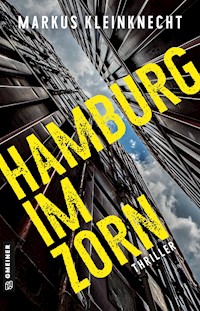 Hamburg im Zorn - Markus Kleinknecht - E-Book