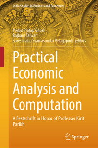 Practical Economic Analysis and Computation -  - E-Book