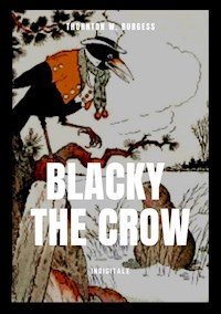 Blacky the Crow - Thornton W. Burgess - E-Book