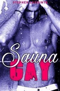 Sauna Gay - Stephen Lapointe - E-Book