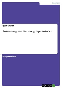 Auswertung von Sturzereignisprotokollen - Igor Geyer - E-Book