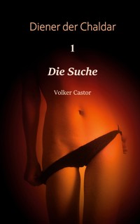 Die Suche - Volker Castor - E-Book
