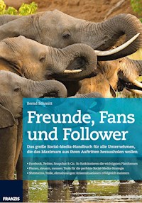 Freunde, Fans und Follower - Bernd Schmitt - E-Book