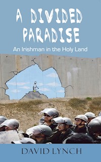 A Divided Paradise - David Lynch - E-Book